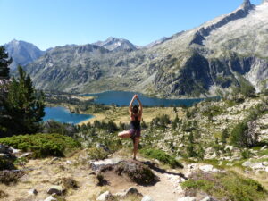 Lire la suite à propos de l’article Méditation de l’arbre, méditation de l’enracinement