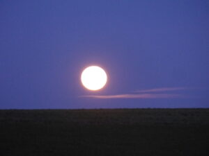 Lire la suite à propos de l’article Cours de Yin Yang  yoga pleine lune